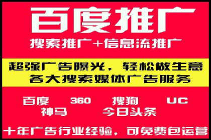 专业SEM代运营公司案例分析
